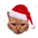 MadBot Upgraded Discord Bot