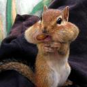 Pokeball Rewards Discord Bot