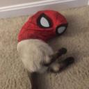 Cardge Beta Discord Bot