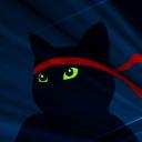 Ninja Cat Discord Bot
