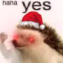 haha yes Discord Bot