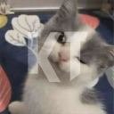 Kronos-Tech Discord Bot