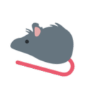 rat facts Discord Bot
