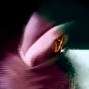 Rahool Discord Bot