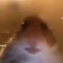 Bruhh Bot Discord Bot