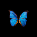 Dream Bot Discord Bot