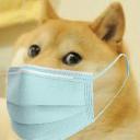 Doge Discord Bot