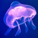 Fact Bot Discord Bot