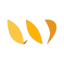 Wheat Discord Bot