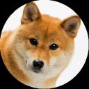 Wishlist Doggo Discord Bot