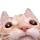 Drunken Kat Discord Bot