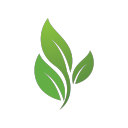 Anti Toxicity Discord Bot