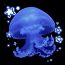 ⁺     𓇼     .　aquarium 　   ❄ Discord Server