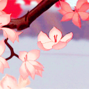 blossom café Discord Server