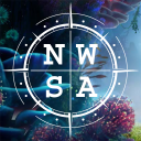 New World SA Discord Server