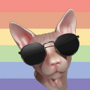 House of Bingus Discord Server