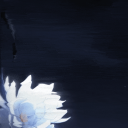 Jingliu Mains ✧ Honkai: Star Rail Discord Server