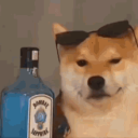 ♚〖 𝐃𝐨𝐠 𝐒𝐢𝐠𝐦𝐚〗 ♚ Discord Server