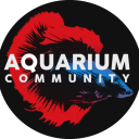 Aquarium Community Discord Server