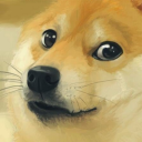 Critiquing Doge Discord Server