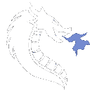 FTNL Discord Server