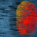 Digital Forensics Discord Server