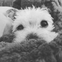 /r/JackSucksAtLife Discord Server