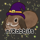 Rabbitors Discord Server