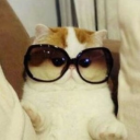 MalwareTech Discord Server