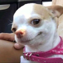 Mexify Discord Server