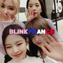 𝗕𝗟𝗜𝗡𝗞𝗙𝗥𝗔𝗡𝗖𝗘 🖤 Discord Server