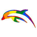 Dolphin Emulator Discord Server