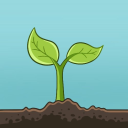 Cozy Campsite Discord Server