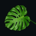 Houseplants! Discord Server
