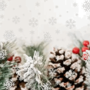 IamLaysa 💜 Discord Server