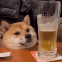 🍺Пивничка Discord Server