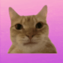 swag server Discord Server