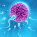Germdonor Discord Memes Server Discord Server