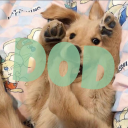Dogs of Discord | Social • Animals • Giveaways • Emojis • Pets • Anime • Chat • Emotes • Gaming Discord Server