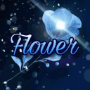 🌹 Flower 🌹 Discord Server