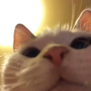 upload.systems Discord Server