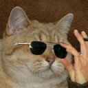 Tom's Lounge | Cats Discord Server