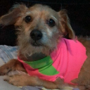 Negrolandia Discord Server