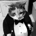 Cat Next Door Discord Server