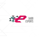 Saudi Esports Federation Discord Server