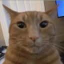 icetray Discord Server