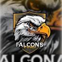 𝖥𝖺𝗅𝖼𝗈𝗇𝗌 𝖤-𝖲𝗉𝗈𝗋𝗍𝗌 Discord Server