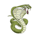 Snake007 Discord Server