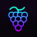 Grape Protocol | grapes.network Discord Server