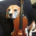 Kemanist Köpekler Discord Server